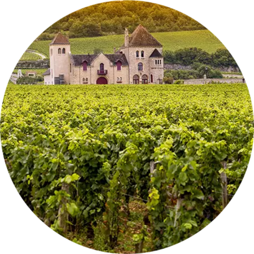 Chateau Bonnet Cabernet Merlot